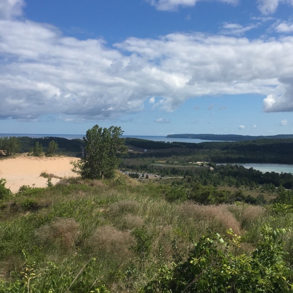 Meet your Posher, Ariana